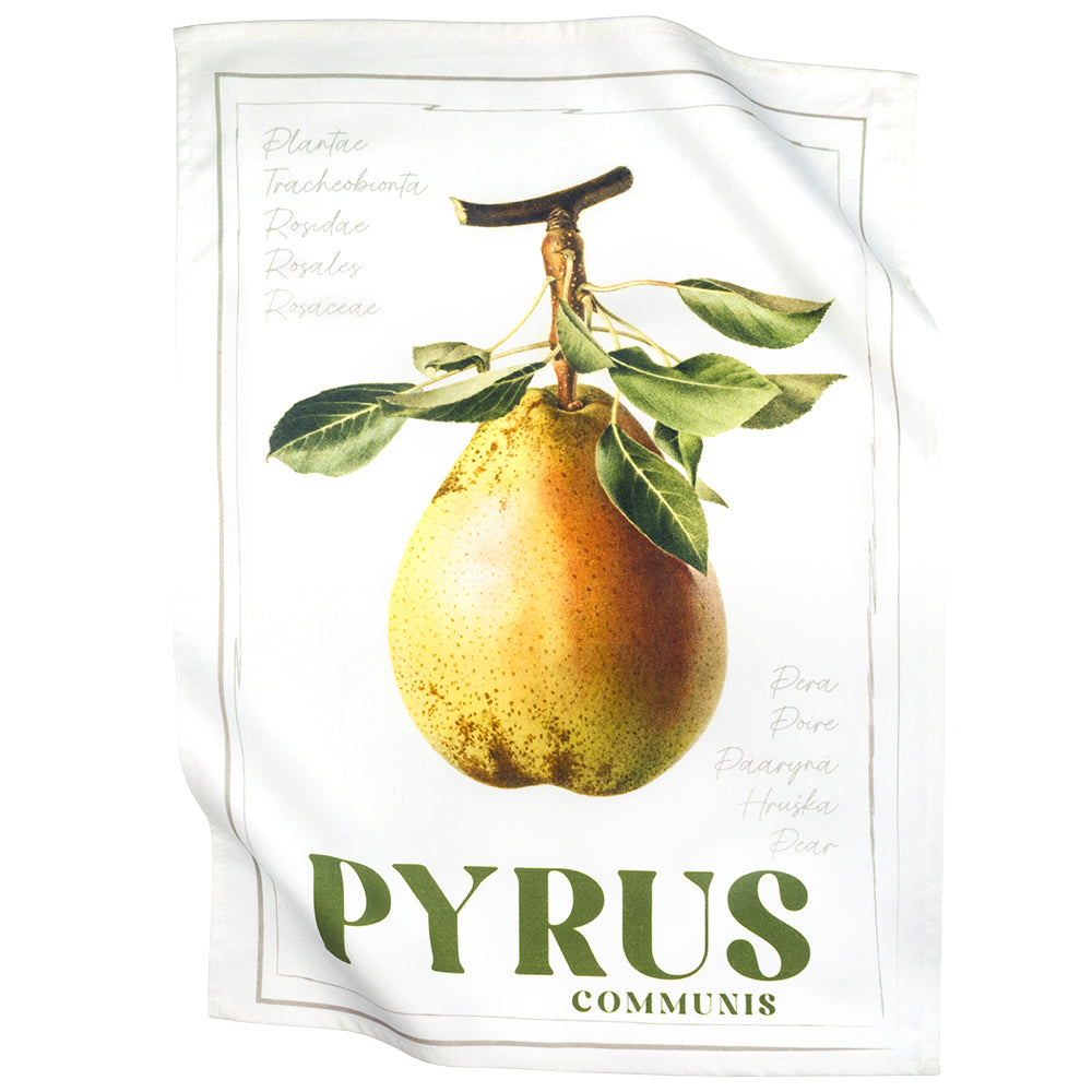 Paño de cocina 965-24