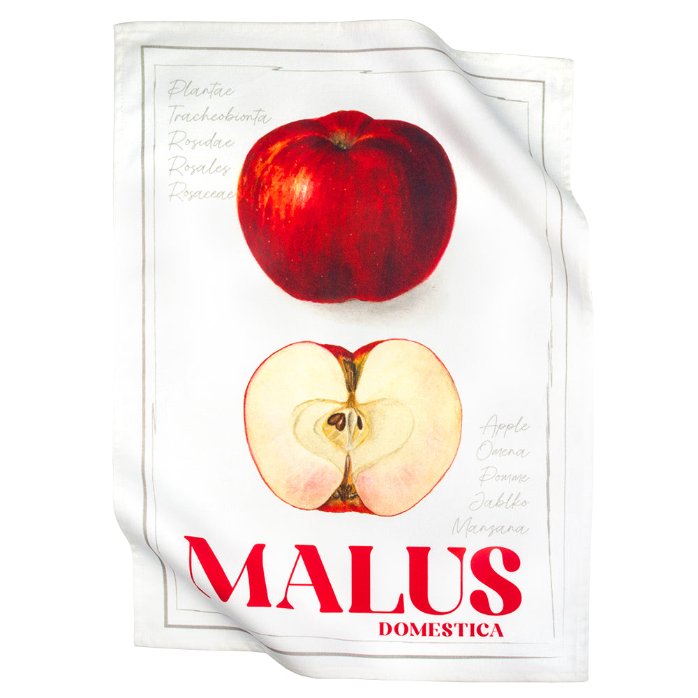 Paño de cocina 965-22