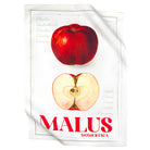 Paño de cocina 965-22