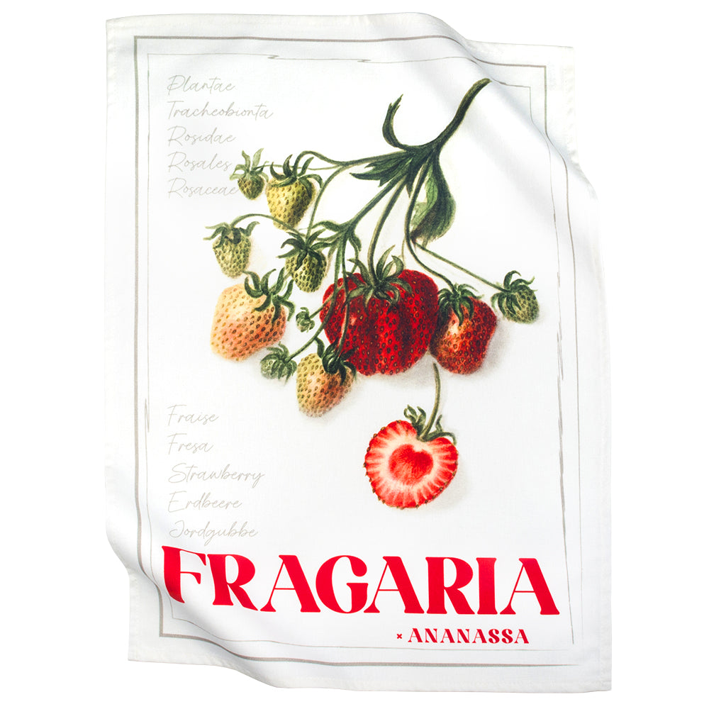 Paño de cocina 965-23